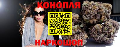 сатива Усть-Джегута