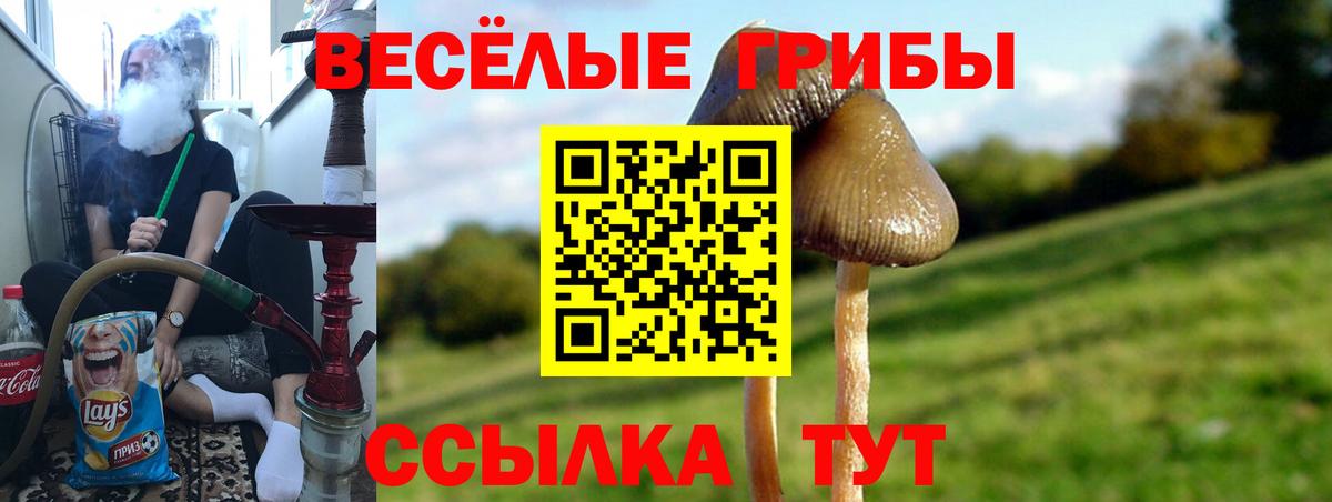 Псилоцибиновые грибы MAGIC MUSHROOMS Аша