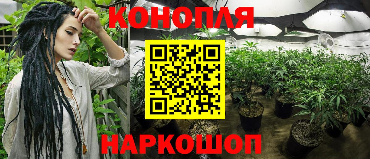 Аша  Конопля MAZAR  Вход с VPN  Бошки Шишки THC 21%  Бошки марихуана THC 21%  Канабис VHQ 